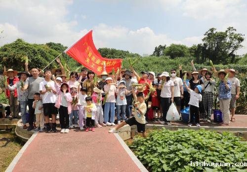 省直关工委活动花絮2023第三期_1